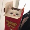 用戶頭像